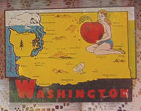 Early Vintage Travel Decal features map of Washington State with a comely miss holding a Washington apple