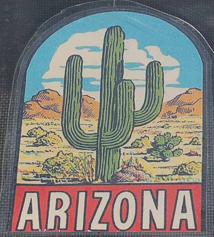 Vintage Travel Decal From Arizona Shows Desert Cactus