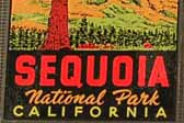 Early Vintage Travel Decal From Sequoia National Park in California, Features the Famous General Sherman Tree