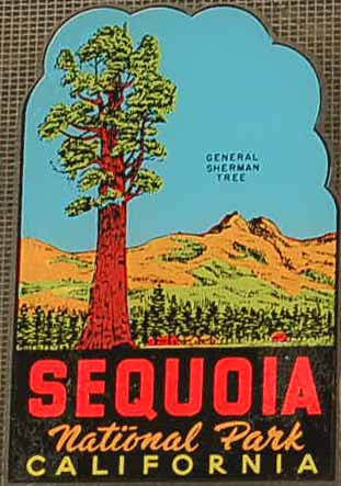 Sequoia National Park Vintage Travel Decal