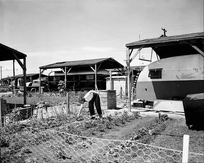 Government photo shows a woman tending to her vegatable garden next to her family's vintage trailer, at Project Hanford Trailer City