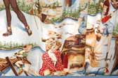 This photo shows a swatch of retro fabric with cute outdoor sports pinup girls, for your vintage trailer