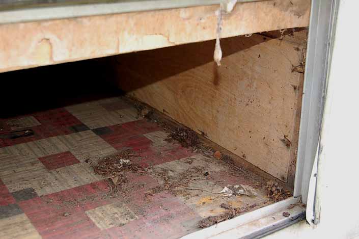 Luggage area with original patterned linoleum flooring in vintage Shasta trailer in storage yard