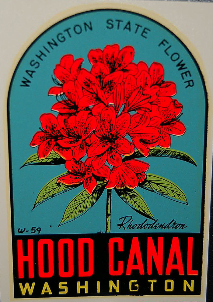 Rare Vintage Travel Decal of Hood Canal, features Washington State flower, the rhododendron