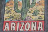 Vintage Travel Decals from Arizona features a Classic Desert Cactus