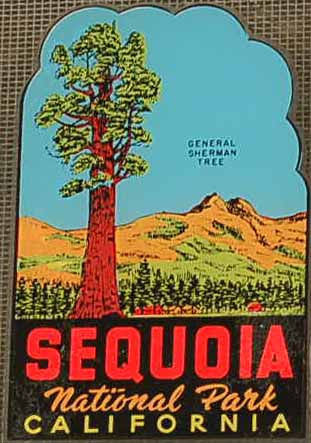 Sequoia National Park Vintage Travel Decal