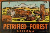 Vintage Travel Decals From the Petrified Forest in Arizona, a Popular Vacation Destination